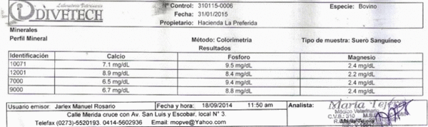 Diagnosis de Hipocalcemias en Vacas de Transición en Fincas lecheras de Trópico Venezolano - Image 11