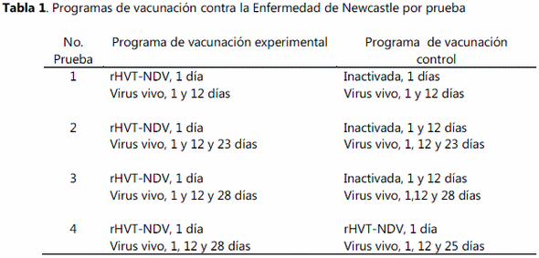 Evaluacion de una vacuna vectorizada contra la enfermedad de Newcastle como parte de un programa de prevencion - Image 1