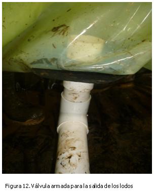 Instalación y operación de una válvula para salida de lodos en biodigestores plásticos - Image 12