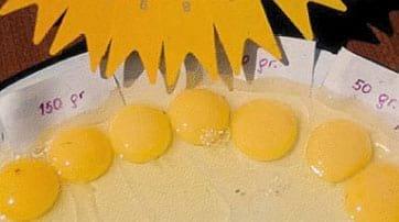 Evaluación de Oleorresina de Achiote como pigmentante natural para la yema de huevo en gallinas de postura - Image 4