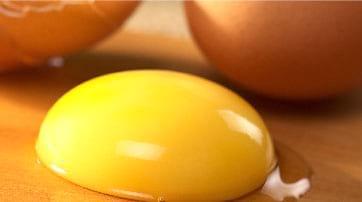 Evaluación de Oleorresina de Achiote como pigmentante natural para la yema de huevo en gallinas de postura - Image 1