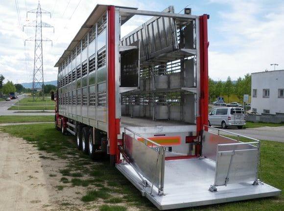 Beneficios de la mejora del transporte de ganado porcino sobre la sanidad y seguridad alimentaria - Image 2