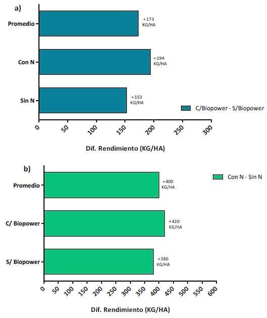 Evaluación de Inoculantes y Biofertilizantes en Girasol - Image 4