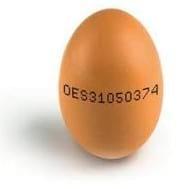 Las 100 preguntas más frecuentes sobre el huevo, sus valores nutritivos, mitos, realidades y las respuestas - Image 4