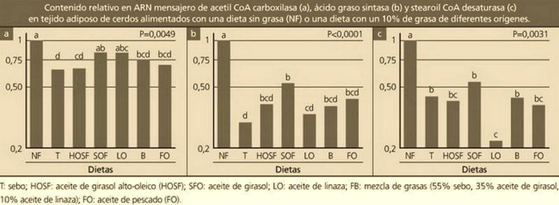 Efectos en el balance de ácidos grasos y el metabolismo lipídico en el cerdo - Image 2