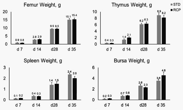 Efecto del nivel de proteína cruda de la dieta de inicio sobre el desarrollo inmunológico y desempeño de pollos de engorda - Image 2