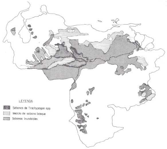 Deficiencias minerales y condiciones asociadas en la ganaderia de carne de las sabanas de Venezuela - Image 13