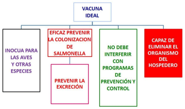 Figura 3.- Vacuna ideal contra Salmonella