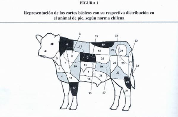 Determinación de Hierro, Zinc y cobre en carne de bovino - Image 1