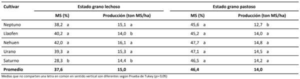 Porcentaje de materia seca y producción de cinco cultivares de Avena sativa L., en el secano de la zona templada. Estación Experimental Las Encinas, Universidad de La Frontera. Temuco, 2001.