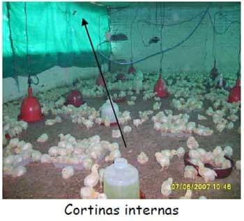 Manual práctico del pequeño productor de pollos de engorde - Image 5