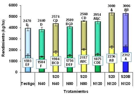 Respuesta del cultivo de Colza a nitrógeno, azufre y Boro en dos espaciamientos y su impacto residual en soja de segunda. Campaña 2012/13 - Image 16