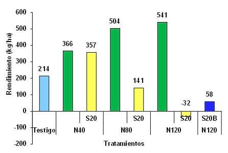 Respuesta del cultivo de Colza a nitrógeno, azufre y Boro en dos espaciamientos y su impacto residual en soja de segunda. Campaña 2012/13 - Image 14