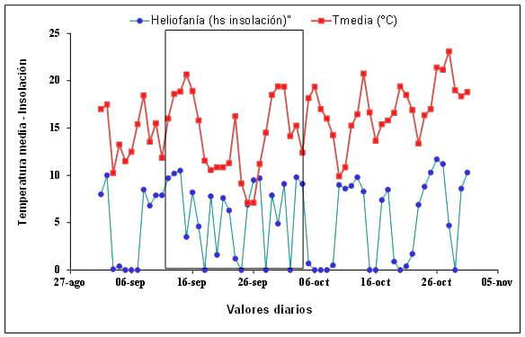 Respuesta del cultivo de Colza a nitrógeno, azufre y Boro en dos espaciamientos y su impacto residual en soja de segunda. Campaña 2012/13 - Image 5