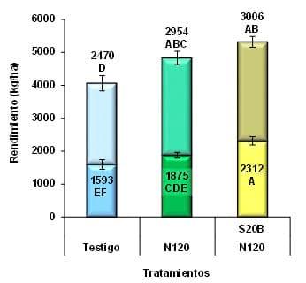 Respuesta del cultivo de Colza a nitrógeno, azufre y Boro en dos espaciamientos y su impacto residual en soja de segunda. Campaña 2012/13 - Image 18