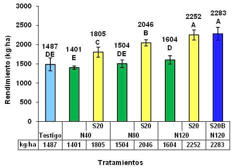 Respuesta del cultivo de Colza a nitrógeno, azufre y Boro en dos espaciamientos y su impacto residual en soja de segunda. Campaña 2012/13 - Image 11