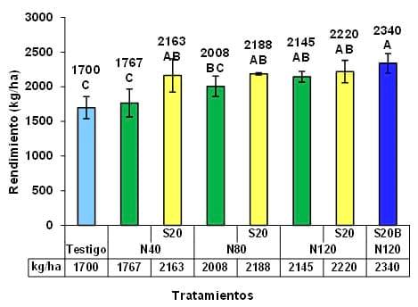 Respuesta del cultivo de Colza a nitrógeno, azufre y Boro en dos espaciamientos y su impacto residual en soja de segunda. Campaña 2012/13 - Image 10