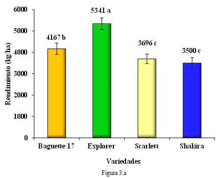 Respuesta a la fertilización en variedades de Cebada Cervecera y su comparación con un cultivar de trigo - Image 8