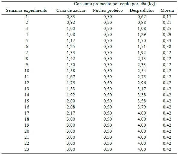 Evaluación bioeconómica de dos dietas contrastantes en Producción Porcina Tropical - Image 6