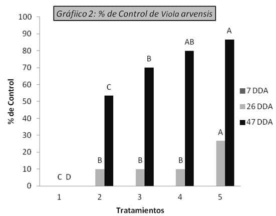 Uso de diferentes coadyuvantes para el control de Viola arvensis con Glifosato - Image 2