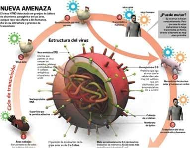 ¿INFLUENZA AVIAR: Futura Pandemia Mortal? - Image 1