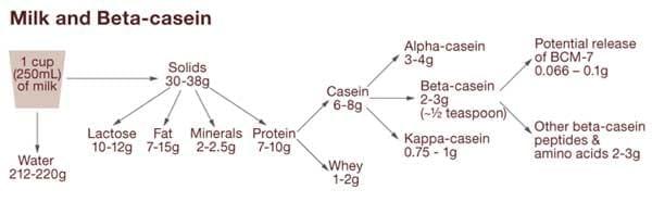 La importancia del tipo de caseína de la leche en la selección genética del ganado bovino - Image 1