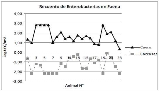 Microorganismos indicadores de calidad higiénica de carnes en novillos criados bajo distintos sistemas de producción - Image 5