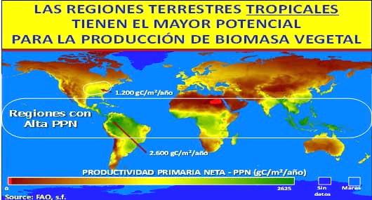 El cambio climático y su mitigación en los sistemas agropecuarios tropicales - Image 1