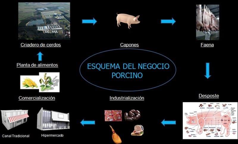 Actualidad, tendencia y futuro del Negocio Porcino en Argentina - Image 10