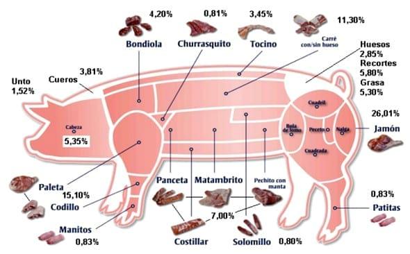 Actualidad, tendencia y futuro del Negocio Porcino en Argentina - Image 7