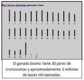 Aplicación de la Genómica en ganado Holstein en México. - Image 1