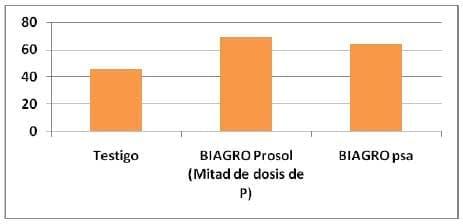 Los promotores de crecimiento producen mejoras en los componentes de rendimiento de trigo y maíz - Image 8