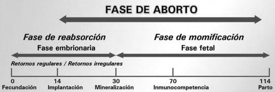 Fallas reproductivas: Herramientas de diagnóstico y control - Image 2