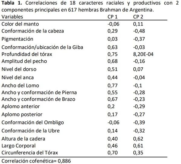 Fenotipado de hembras Brahman de Argentina y su análisis usando técnicas de minería de datos - Image 1