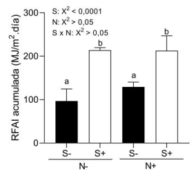 Figura 2. Radiación fotosintéticamente activa interceptada por canopeos inoculados (S+) y no inoculados (S-) con simbiontes radicales, y fertilizados (N+ y no fertilizados (N-) con fosfato di amónico.