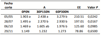 Tabla 1. Efecto del ambiente inicial (A) sobre la producción de forraje (kgMS ha-1 ) de festuca alta. Letras distintas indican diferencias significativas P< 0,05.