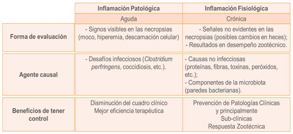 tipos de inflamación