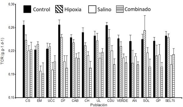 Variabilidad en respuesta al estrés combinado salinidad - hipoxia en una colección de Panicum coloratum var. coloratum - Image 1