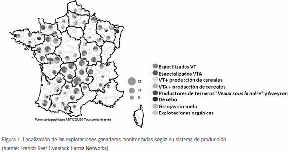 Costes de producción del vacuno de carne en Francia: Competitividad, rentabilidad y estrategias de los ganaderos - Image 1
