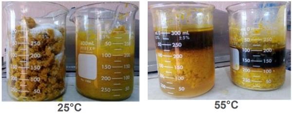 Obtención de oleínas por la vía enzimática - Image 2