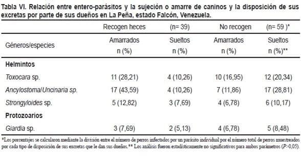 Parásitos intestinales de importancia zoonótica en caninos domiciliarios de una población rural del estado Falcón, Venezuela - Image 6