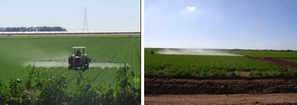 TRIGO. Demostración gráfica para establecer el cultivo de Triticum aestivum con riego agrícola, implementando un paquete tecnológico y prácticas agronómicas sostenibles. Cuatro de siete - Image 8