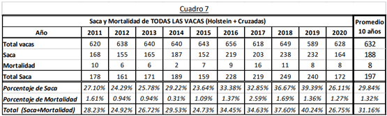 Saca y Mortalidad de TODAS LAS VACAS (Holstein + Cruzadas)