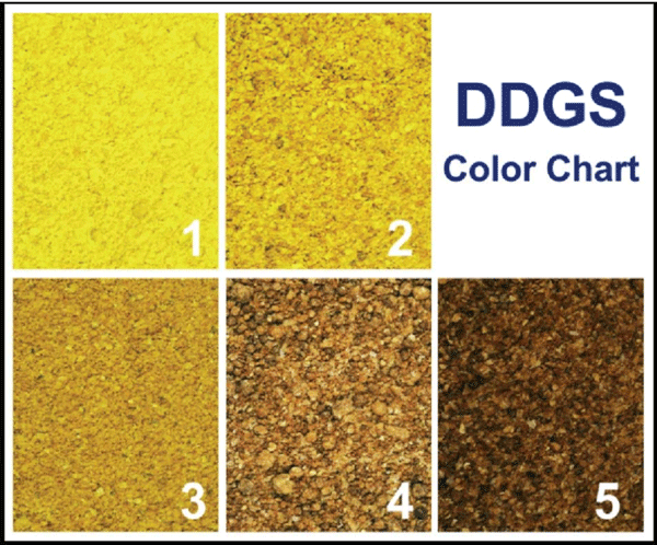 Figura 1. Ejemplo de tarjeta de calificación de color de los DDGS. 