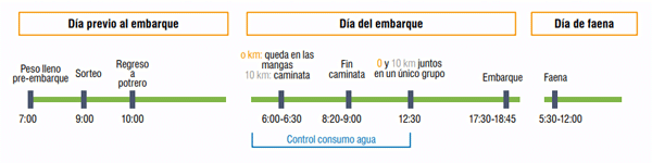 Figura 1 - Ilustración esquemática del cronograma del experimento. 0 km: sin caminata. 10 km: caminata suave de 10 km.