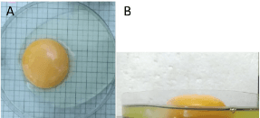 Evaluación de escala visual como medida de calidad interna y frescura de huevo comercial - Image 1
