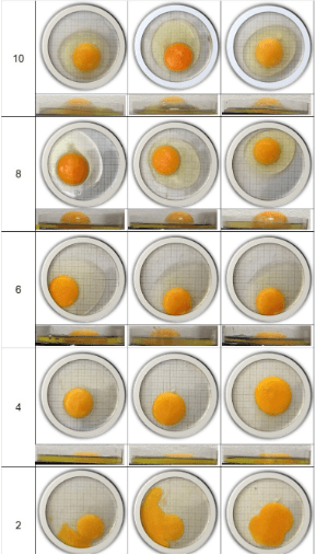 Evaluación de escala visual como medida de calidad interna y frescura de huevo comercial - Image 2