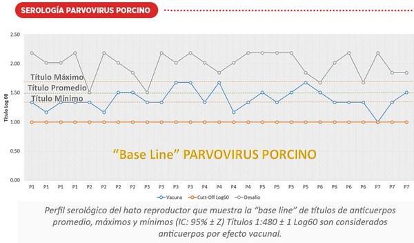 Variabilidad genética del parvovirus porcino y su implicación en la vacunación - Image 8