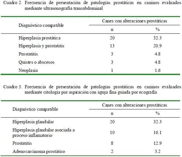 ALTERACIONES PROSTÁTICAS EN CANINOS DETERMINADAS MEDIANTE ULTRASONOGRAFÍA Y CITOLOGÍA POR ASPIRACIÓN ECO-GUIADA - Image 2