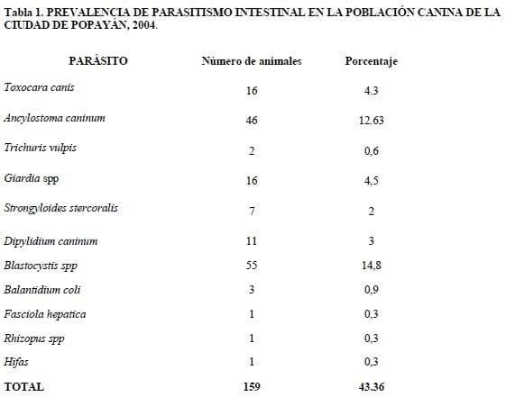 Prevalencia de Toxocara canis y otros parasitos intestinales en Caninos en al ciudad de Popayán, 2004. - Image 1